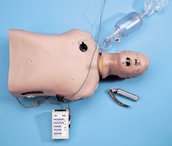 Deluxe CRiSis™ Torso Manikin